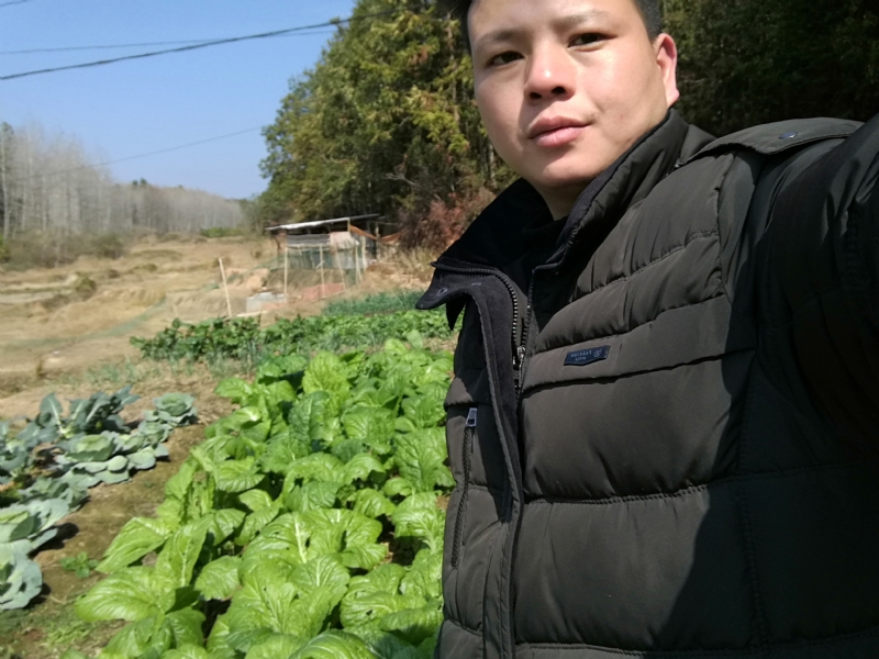 倔强的驴的第一张照片--漳浦交友网